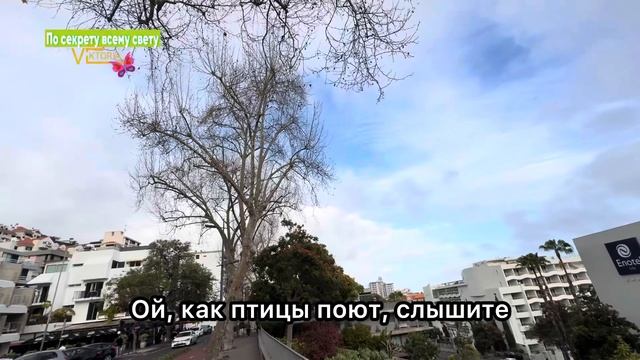 #отпуск#мадейра Прилетела на Мадейру. Отель. Район Лид? смотреть онлайн