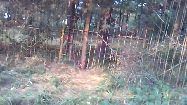 Влог Идем на турбазу Я на Свитязе смотреть онлайн