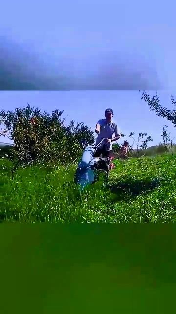 Мотоблок с косилкой #косим травы #заготовка сена #shorts смотреть онлайн