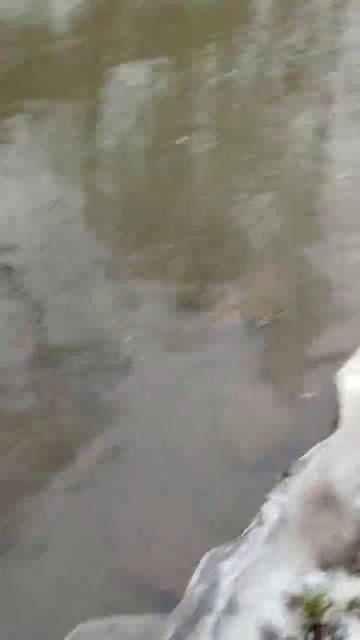 Находки прут! 300 000 рублей на поисковый магнит!