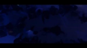 Темное зеркало