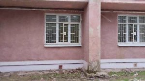 Девочка Мальчик Снимает Штаны Писюн