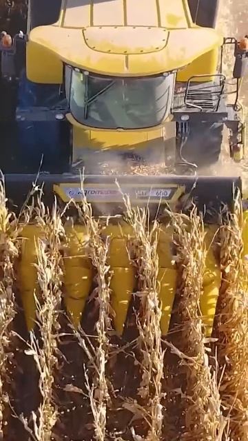 Жатка для уборки кукурузы agromaster mt 600 +79383462368 - FJB GROUP LLC смотреть онлайн