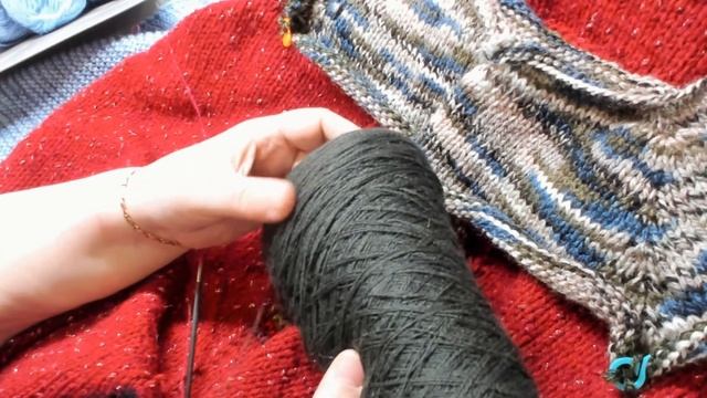 СП Год кардиганов февраль