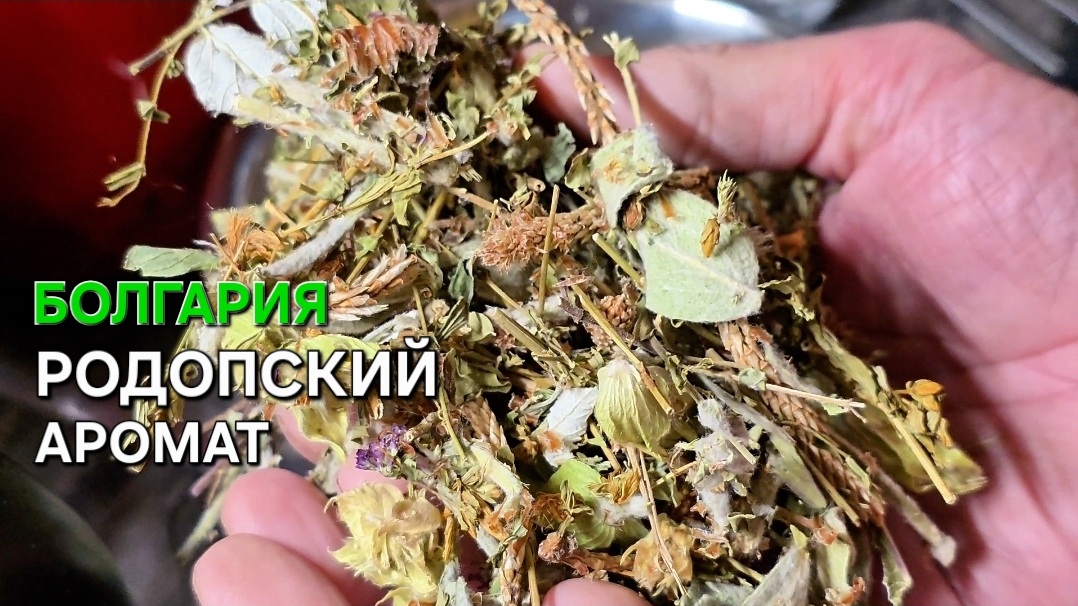 Болгария | Детокс организма | Тонус и хорошее настроение смотреть онлайн