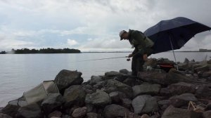 ЛОВЛЯ ЛЕЩА НА СЕВЕРНОЙ ДАМБЕ Финского Залива в непогоду I Фидер I Горбатый мост I 2024 г