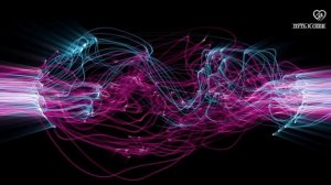 ТРАНСЕРФИНГ РЕАЛЬНОСТИ - 2024 или СЕБЯ ! Вадим Зеланд НОВ