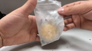 Гравер DLT G-100