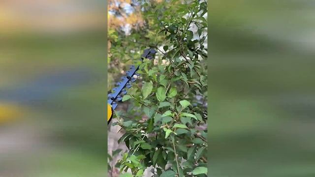 Кусторез аккумуляторный Partner For Garden CGS-72P