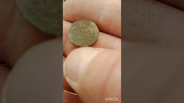 #spadokpredkiv  интересные находки в чешском лесу