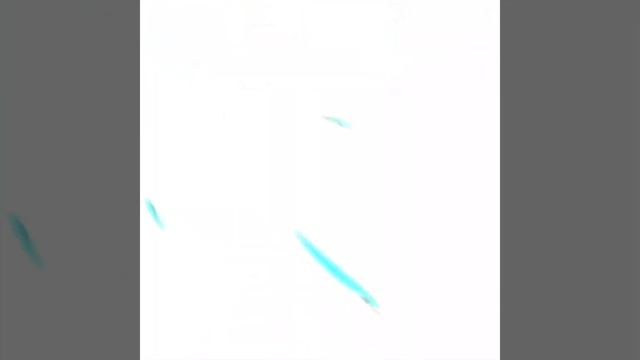 Кон Зеркала. Тайна последнего взгляда #конымироздания смотреть онлайн