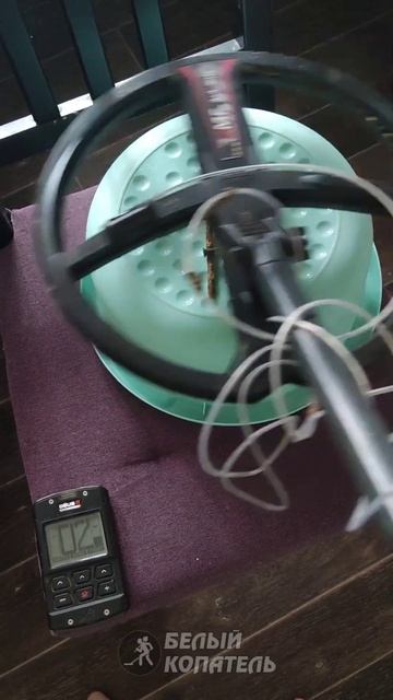 Золотое кольцо между гвоздей. XP Deus 2 смотреть онлайн