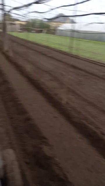 Кубота В6000.гребень смотреть онлайн