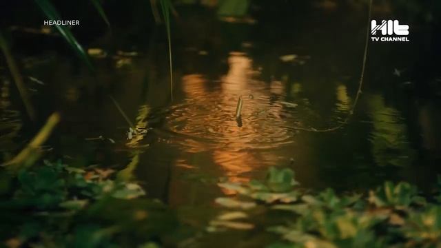 Тағы бір дуэт. Әнші Индира Елемес шетелдік Дан Баланмен ән шырқады смотреть онлайн