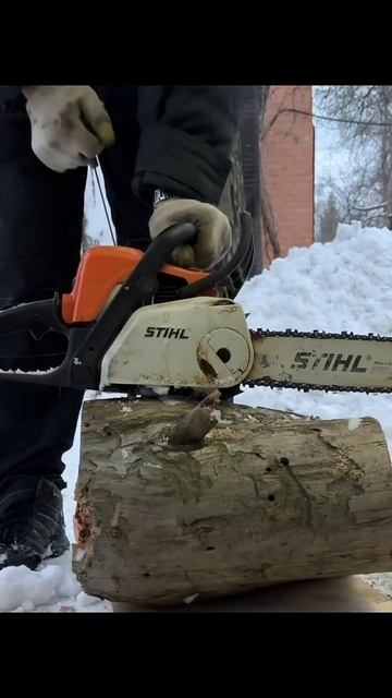 #stihl #ChainsawCompetition #ChainsawRacing #STIHLTimbersportsSeries #LoggingCompetition #Лесо смотреть онлайн