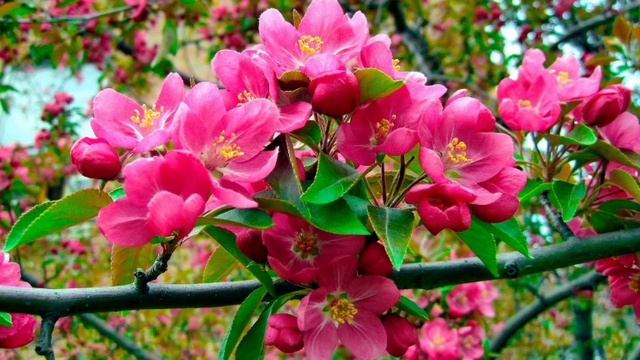 Отношения. Что нам отражает зеркало мира.