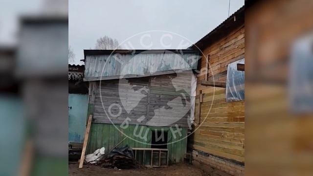 Русская Община Костромы и Палкино помогли многодетной семье покрыть дом новой кровлей смотреть онлайн