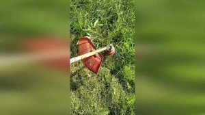 Триммер бензиновый Беларусь БК52-Н