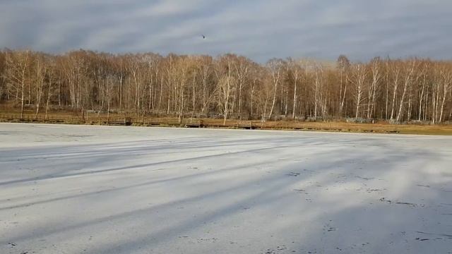 Джамгаровский пруд 15 ноября 2018 смотреть онлайн