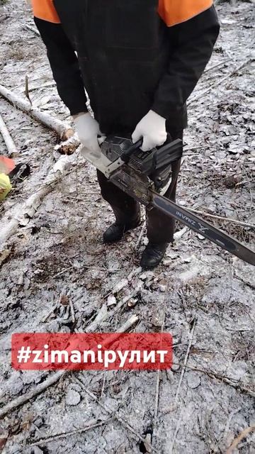 Холодный пуск бензопилы ZimAni 365PRO #zimaniрулит #wood #беларус? смотреть онлайн