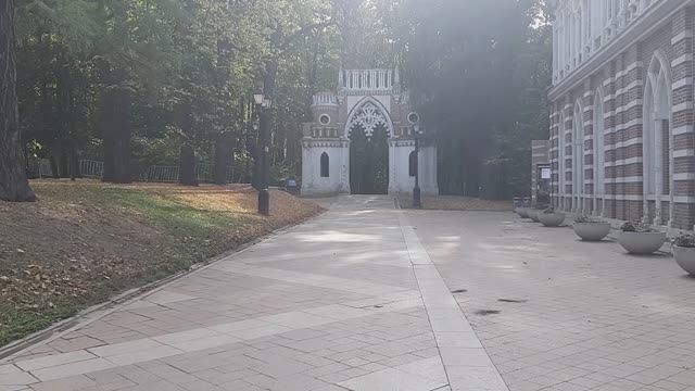 Виталик Викторов В. - ВВВ