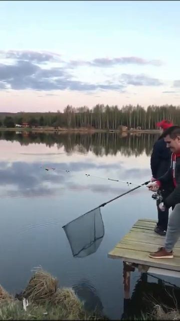 Поклёвка чистые пруды смотреть онлайн