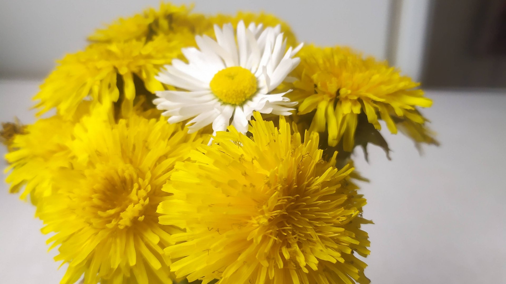 БУКЕТ ОТ ПРАВНУЧКИ. МОЧАЛКА . КЛУБКИ НА КОВРИКИ. смотреть онлайн