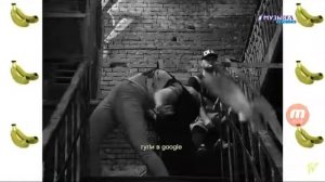 Песня Шейкер Шейкер патимейкер