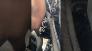 Nissan Almere G15 Замена реле генератора. Замена щеток генера?