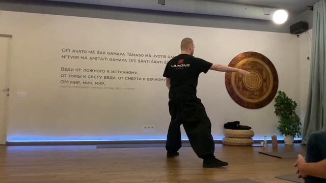 24 формы Ченши синьи Хуньюань тайцзи, Антон Антонов, 10.11 смотреть онлайн