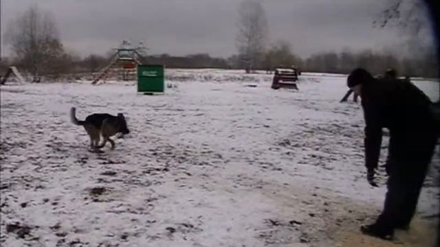 рр. НО Рекс смотреть онлайн