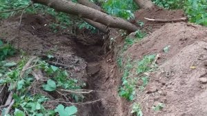 Выкопал остатки медного кабеля.#metal detecting #металл #медь