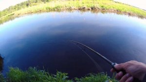 Мои спиннинги для твичинга 2024. Сравнение. Nautilus Grinder, Bass