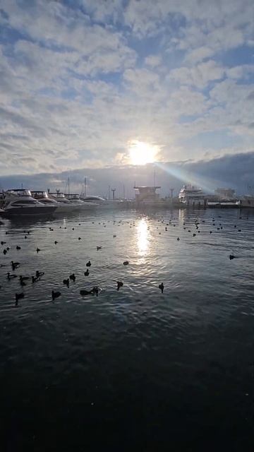 Сочи 3 февраля 2024 +10° А у Вас какая погода? смотреть онлайн