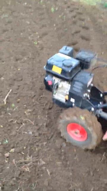 HECHT 750 / 6.5 к.с., 50 см / смотреть онлайн