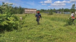 Покос бурьяна с женой, Stihl fs-561, Stihl fs-491