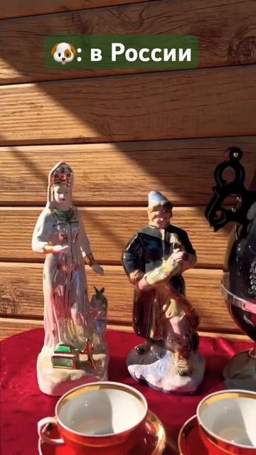 И правда, зачем?😂 #собаки #тренды #тренд #shorts #дача #шпиц #youtubeshorts смотреть онлайн