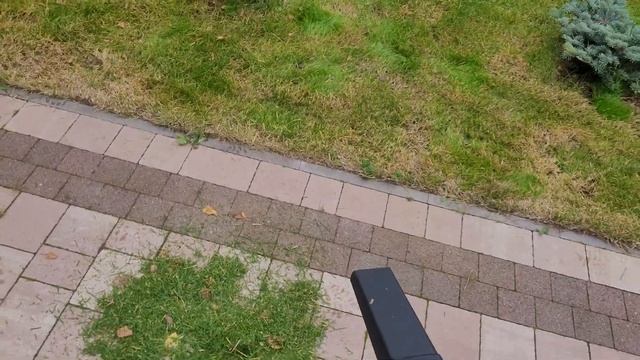 Воздуходувка-пылесос Worx WG583E смотреть онлайн