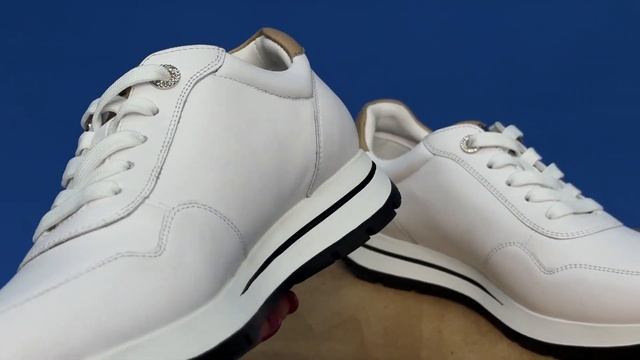 Кроссовки Alina Shoes.kz T30AS21A-Enomena