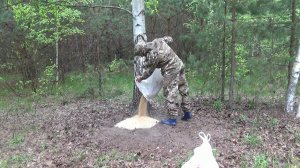 Как приманить кабана! Часть 1 Подготовка!