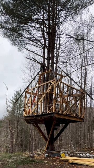 Удлинённая DeWalt пила для сучков. #цепнаяпила #электропи смотреть онлайн