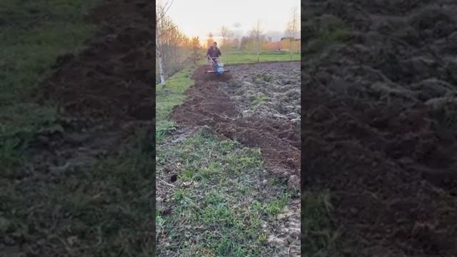 Фрезерование земли после мтз и выравнивание участка смотреть онлайн