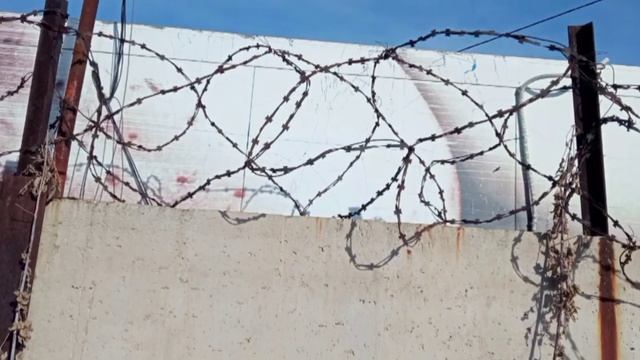 топ 999999 лучших мемов 2008 года