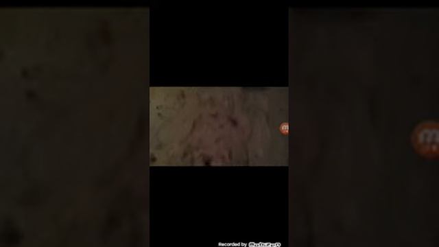 Скорость полёта мяча на круглом снегу!!! смотреть онлайн