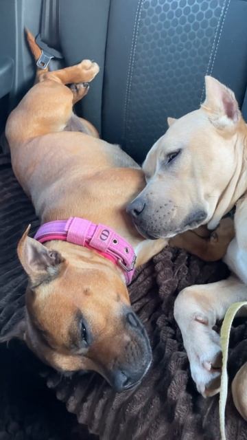 Я всё ещё верю в любовь ❤️