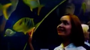 рекламный блок на Russian Music Box 2014 год осень