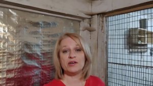 Если куры упали на ноги: в чем причина и как помочь?