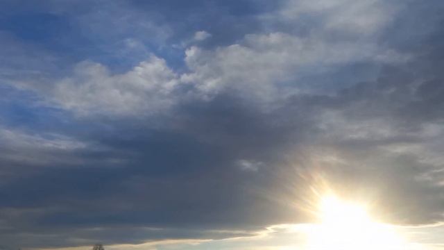 Запах сундука 41 серия дата вихода смотреть онлайн