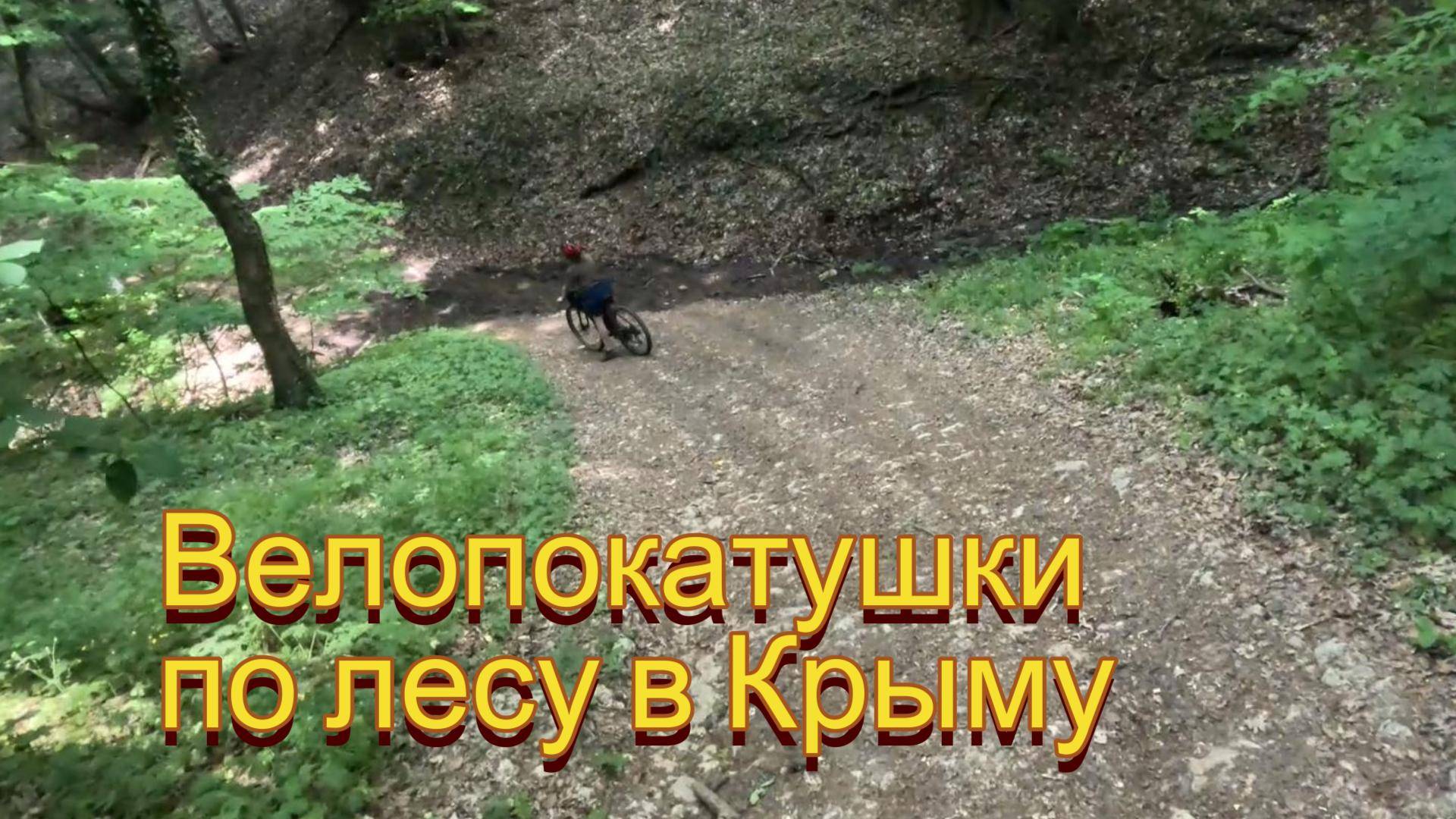 Велопокатушка по лесу в Крыму