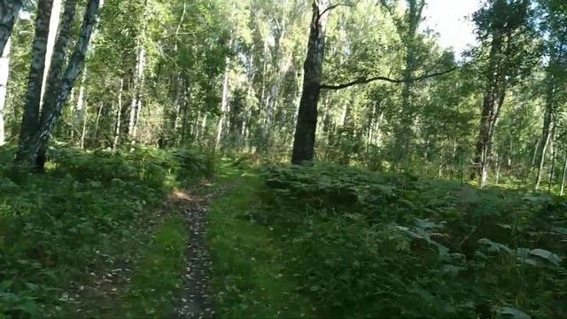 от ботсада до турбазы Казачий острог часть 2 смотреть онлайн